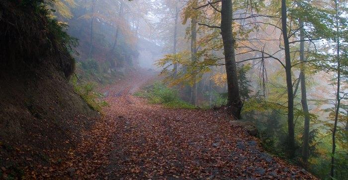 excursiones en otoño, La Fageda de la Grevosa